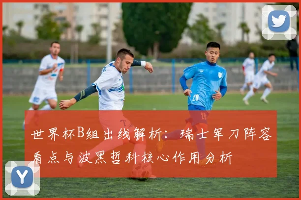 世界杯B组出线解析：瑞士军刀阵容看点与波黑哲科核心作用分析